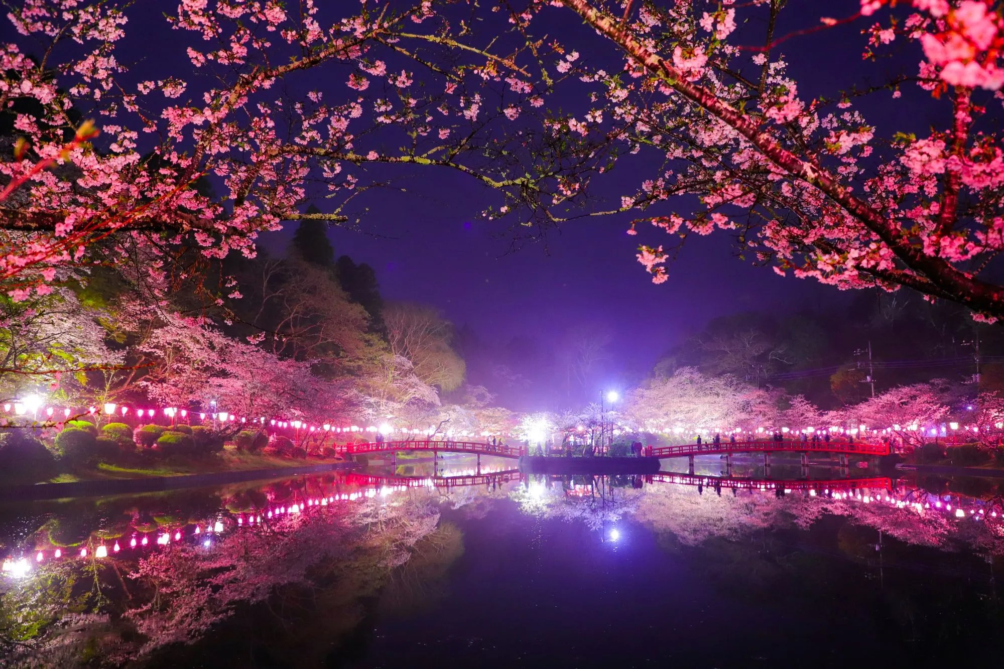 🌸 모바라 공원 (모바라코엔) 이미지 6